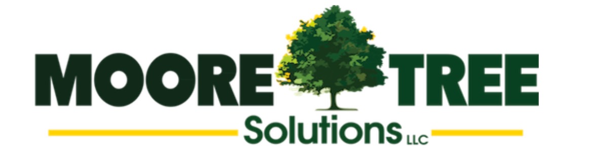 Business directory image
